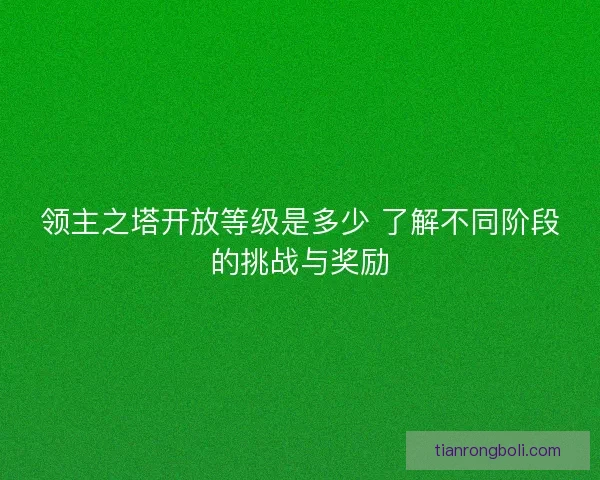 领主之塔开放等级是多少 了解不同阶段的挑战与奖励